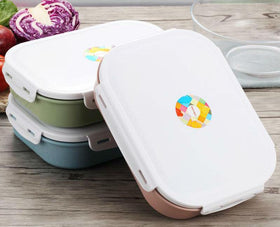 Stainless Steel Lunch Box With Compartments